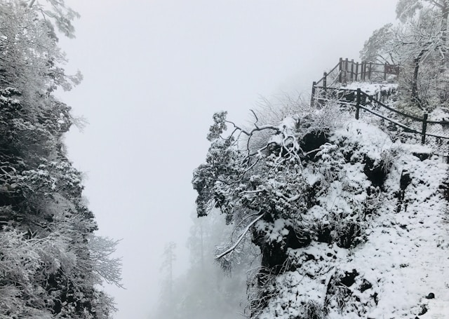 Emeishan, Leshan, China