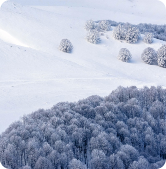 guide-trip6