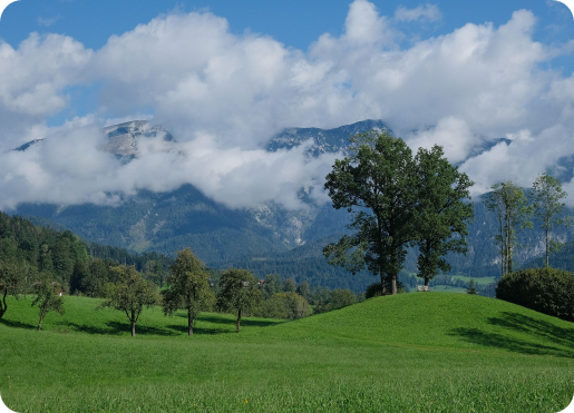 guide-voiding-list1