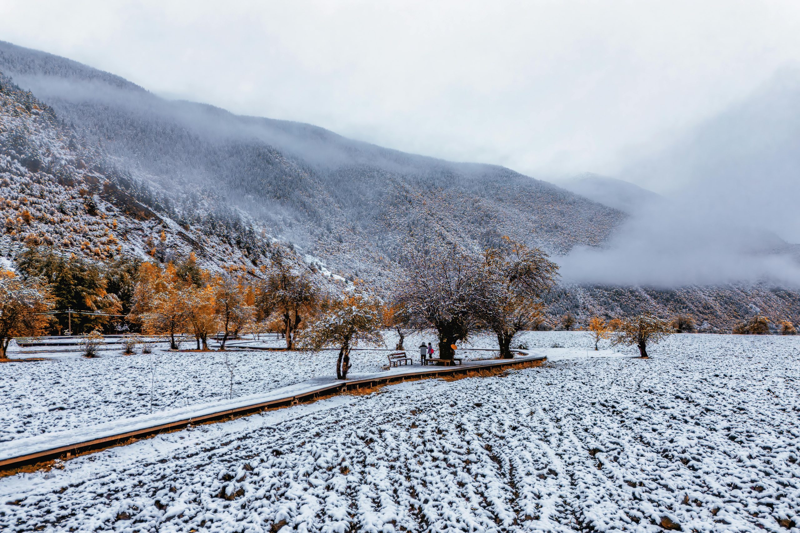 pexels-sunrain-l-2152144246-34799224