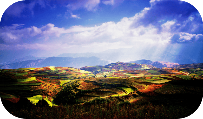 The Ultimate Photography Guide