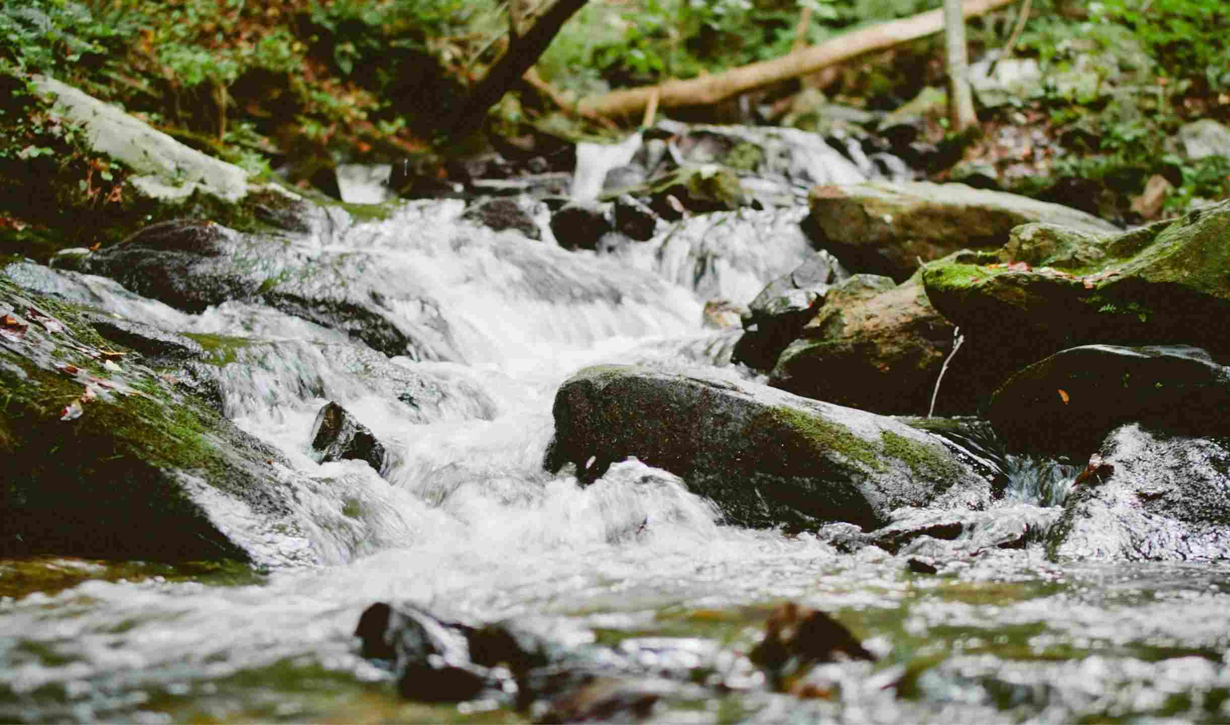 鞍子河自然保护区